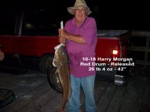harry morgan