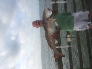 red drum jeff 2016