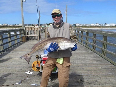 red drum don2 2016