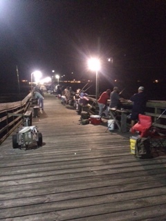 10-13 spot night
