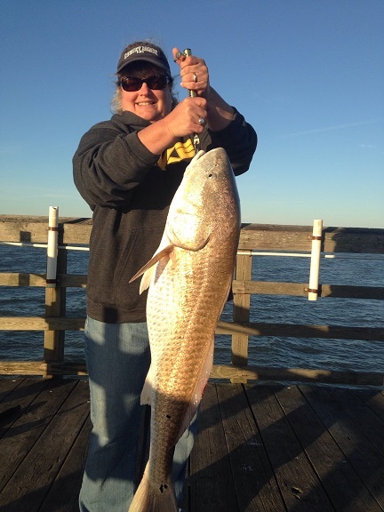 red drum teresa 10-24