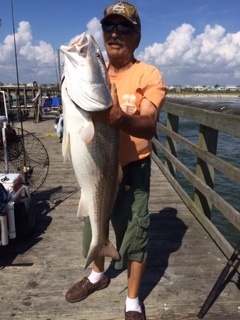 Rocky Red Drum